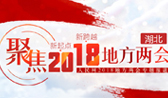 2018湖北兩會