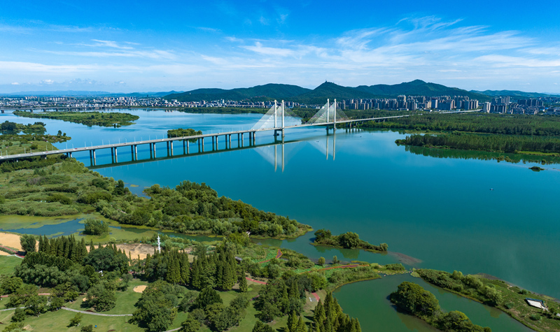 襄陽市月亮灣濕地公園草木吐翠，景色如畫。