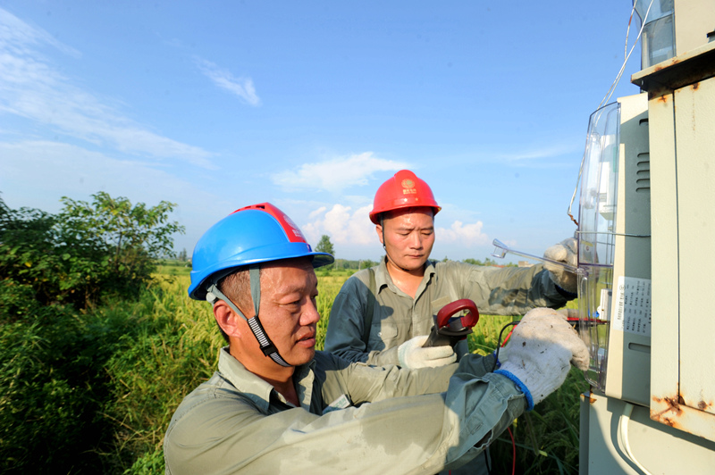 國網(wǎng)孝感供電公司全力抗旱保豐收。