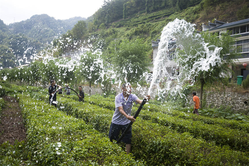 人大代表組織抗旱志原服務(wù)隊(duì)為村民干枯的茶葉抽水抗旱。