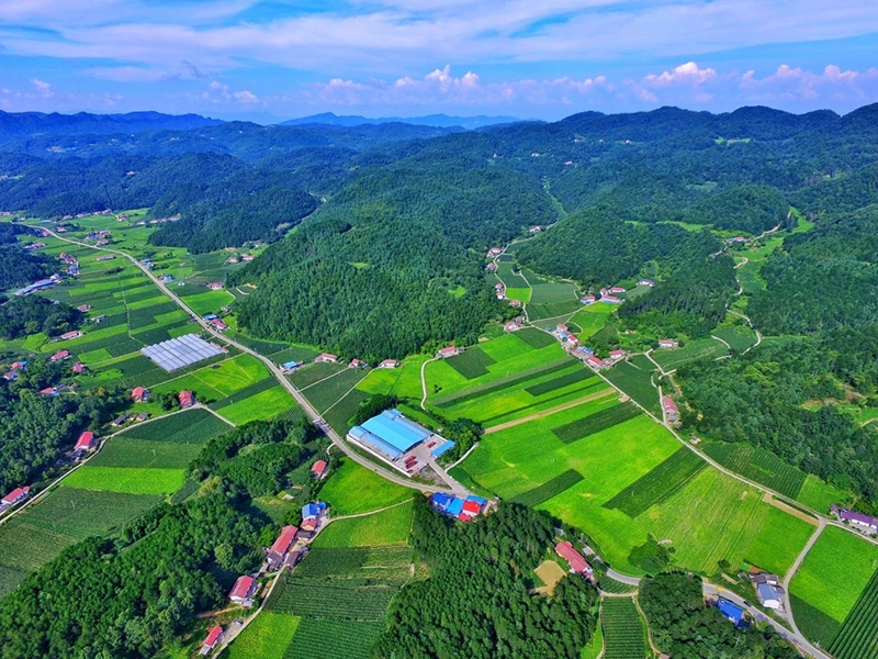 湖北興山縣和平村鳥瞰圖。