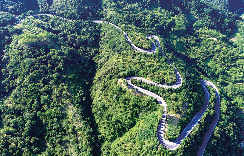 圖為層巒疊嶂間，彎彎曲曲的盤山路猶如巨龍蜿蜒盤旋。 鄖軒文攝