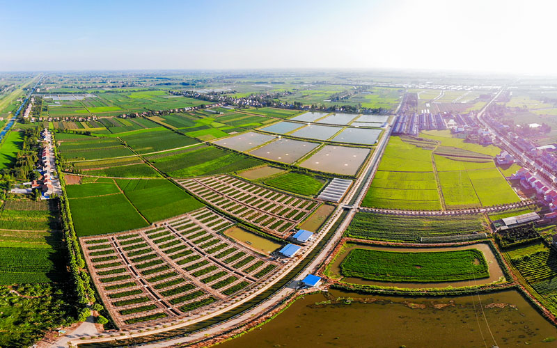 荊州市荊州區(qū)彌市鎮(zhèn)節(jié)水灌溉。湖北省水利廳供圖