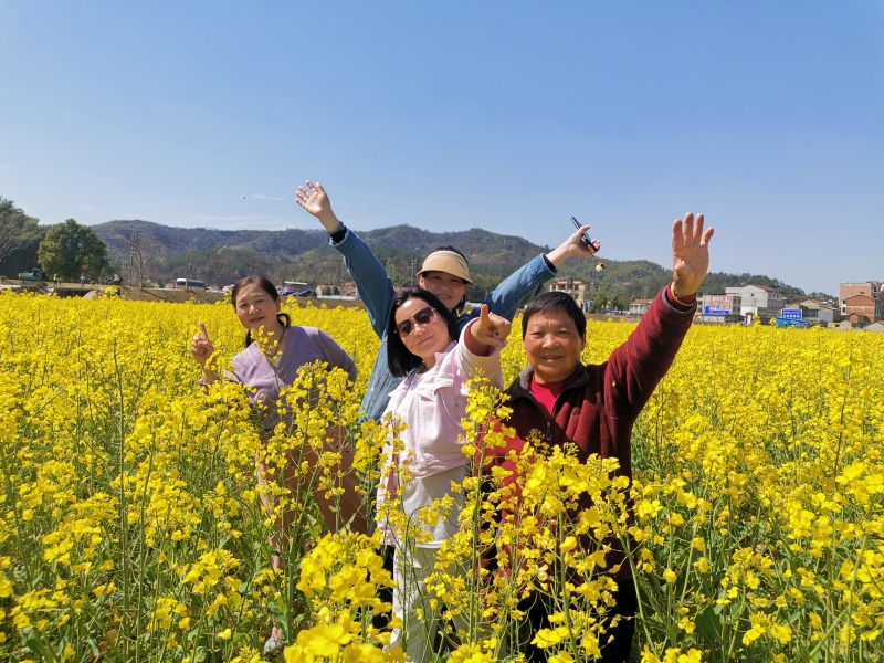 游客打卡湖北咸安油菜花海。胡劍芳攝