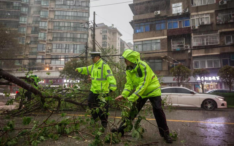 交警清除樹(shù)枝等路障。