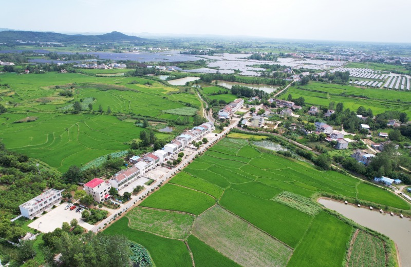 美麗鄉(xiāng)村新圖景。天門市委宣傳部供圖 