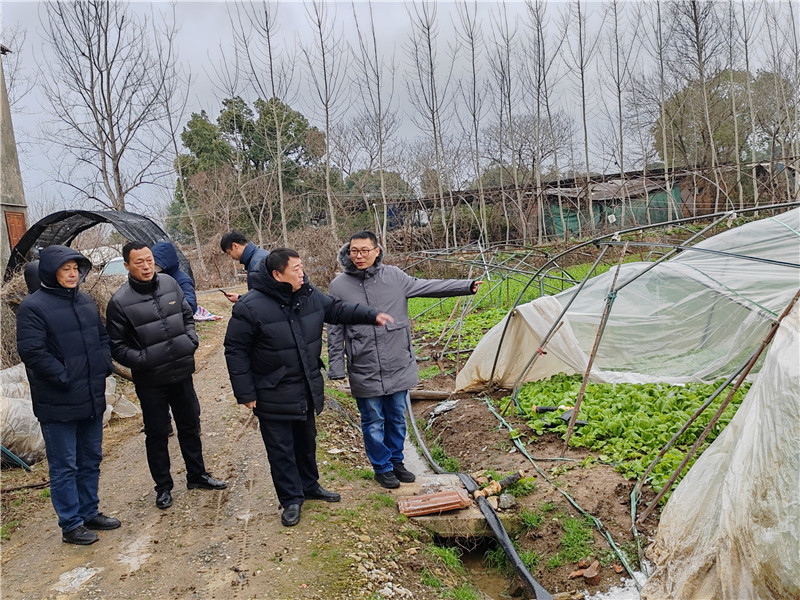 2月21日，東西湖區(qū)農業(yè)農村局王燕常副局長帶隊到長青街道查看蔬菜和大棚受災情況。