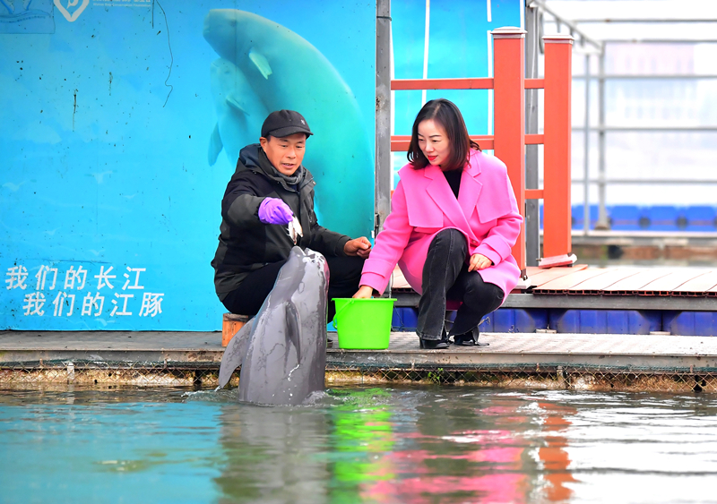 2023年12月28日，王瓊帶隊(duì)前往天鵝洲白鱀豚國(guó)家級(jí)自然保護(hù)區(qū)。劉斌攝