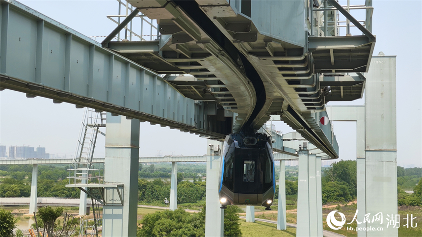 空軌列車車體懸掛于軌道梁下方“飛行”。人民網記者 王郭驥攝