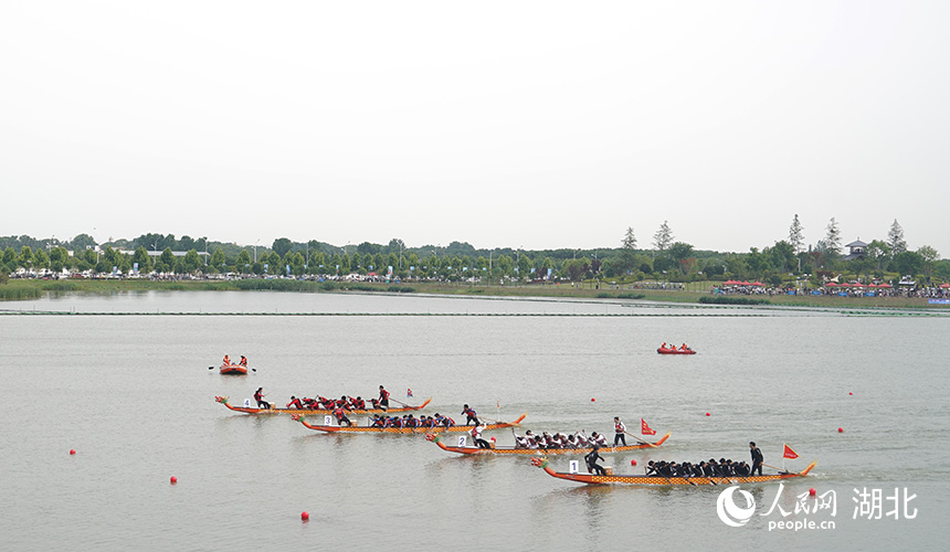 龍舟賽在杜公湖國(guó)家濕地公園舉行。人民網(wǎng)記者 周雯攝