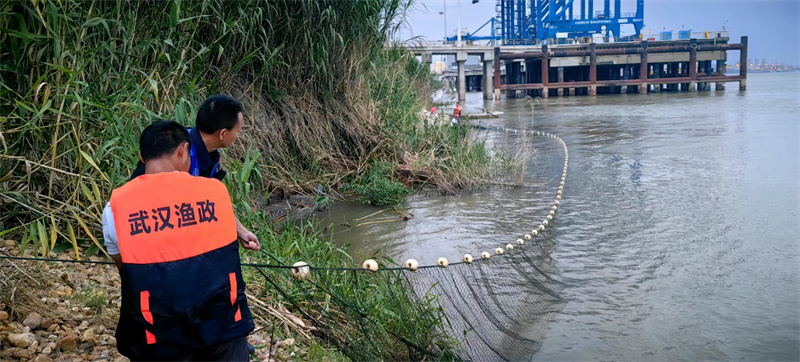 抓捕鱷魚。武漢市農(nóng)業(yè)農(nóng)村局供圖